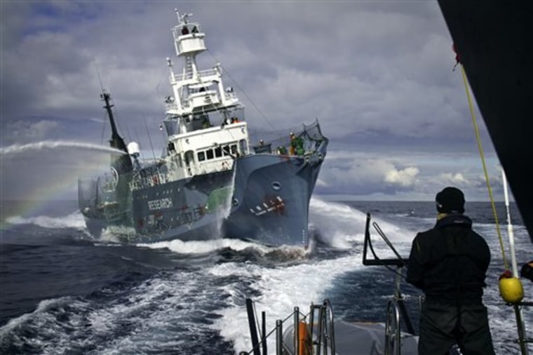 In this file photo released by Sea Shepherd Conservation Society, the Japanese whaling ship Yushin Maru No. 3 approaches the Sea Shepherd's high-speed trimaran Gojira during their encounter Friday, Feb. 4, 2011 in Southern Ocean, Antarctica. Fisheries agency official Tatsuya Nakaoku says Japan has halted the hunt since Feb. 10, 2011 after persistent disruptions by the anti-whaling protesters "to ensure safety."